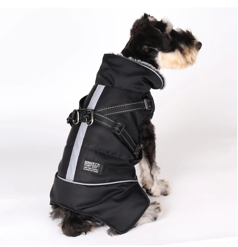 Winter Dog Jacket with Harness – Waterproof, Windproof Coat for Small & Medium Dogs