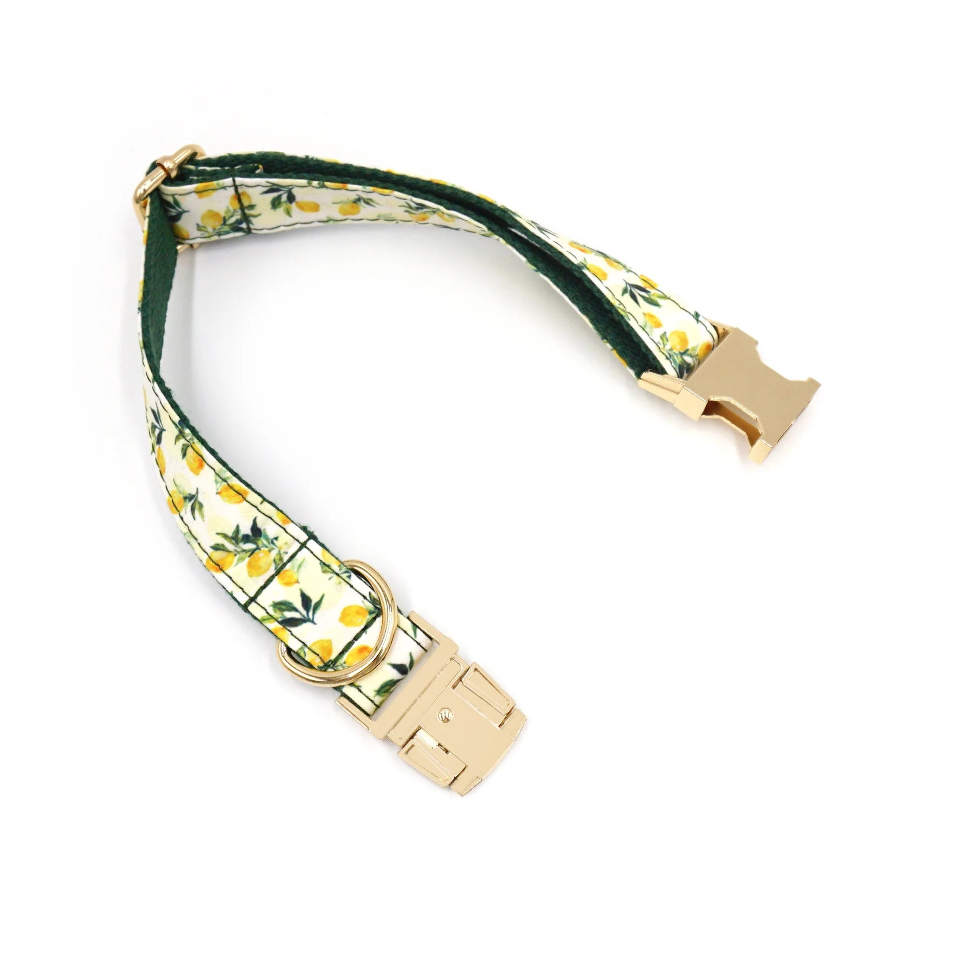 Summer Fruit Personalized Dog Bowtie Collar and Leash Set, Custom Laser Pet Necklace, Cute Pet Accessory