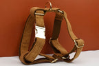 Caramel Corduroy Personalized Dog Collar, Leash & Harness Set