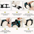 Reflective Dog Harness – Adjustable Soft Oxford Vest with 5 Removable Patches