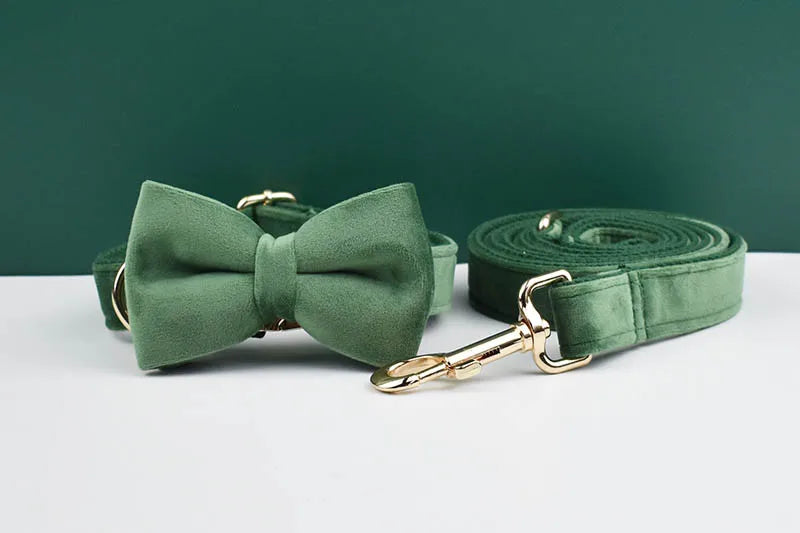 Forest Green Velvet Personalized Dog Collar, Leash & Harness Set