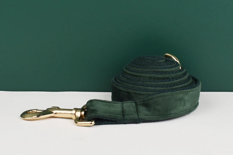 Velvet Personalized Dog Collar, Leash & Harness Set