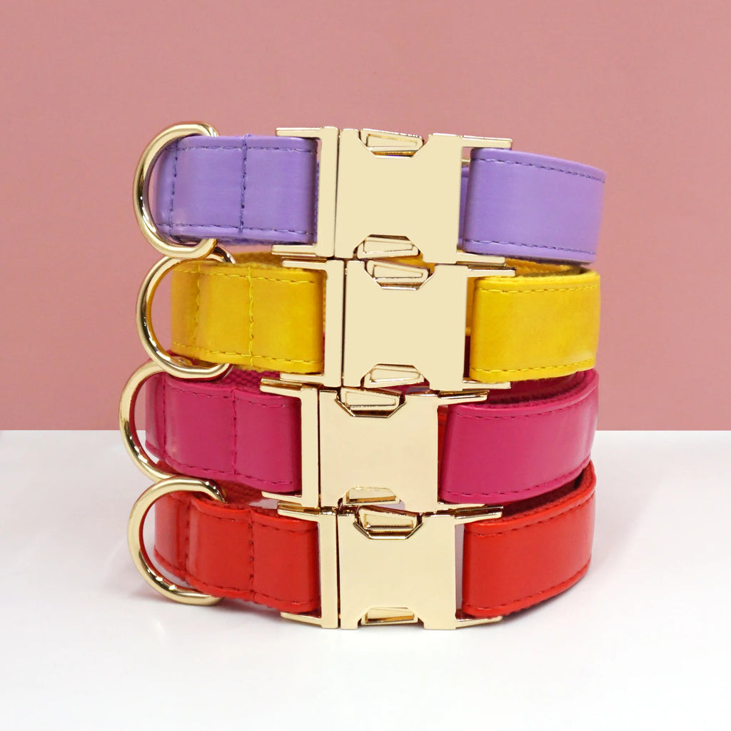 Customized Colorfule Waterproof Pet Collars PU Leather Dog Adjustable Puppy Dog Necklace Durable Pet Leads Accessory