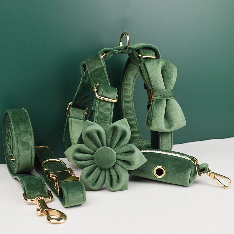 Forest Green Velvet Personalized Dog Collar, Leash & Harness Set