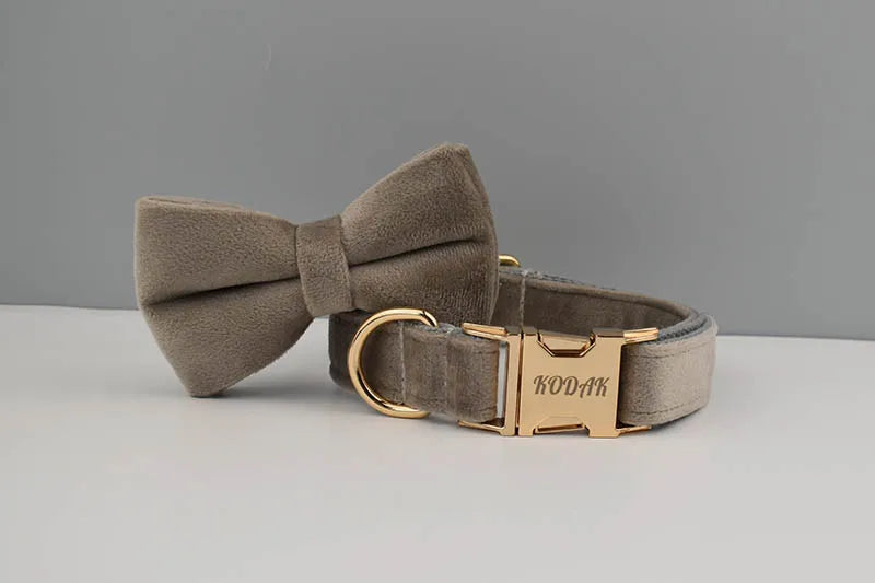 Light grey Velvet Personalized Dog Collar, Leash & Harness Set