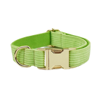 Apple Fruit Green Corduroy Personalized Dog Collar, Leash & Harness Set