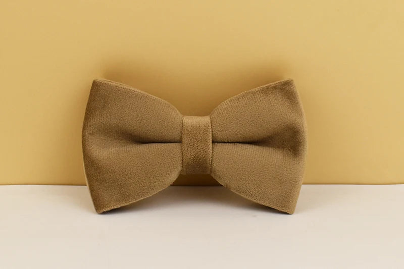 Shallow Khaki Velvet Personalized Dog Collar, Leash & Harness Set