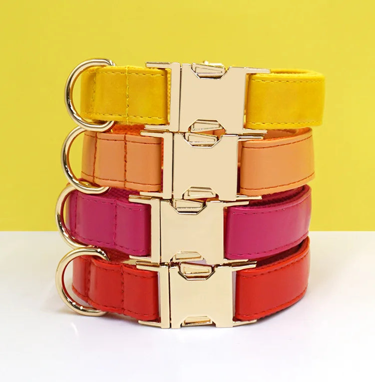 Customized Colorfule Waterproof Pet Collars PU Leather Dog Adjustable Puppy Dog Necklace Durable Pet Leads Accessory