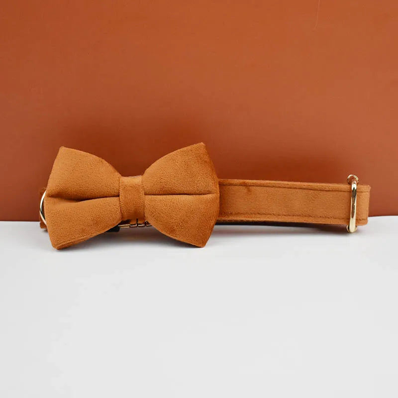 High Quality Dog Collar & Leash Set – Personalized Engraved Nameplate, Padded