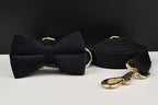 Black Velvet Personalized Dog Collar, Leash & Harness Set