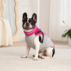 Waterproof Dog Jacket with Harness – Warm Winter Coat for Small to Large Dogs