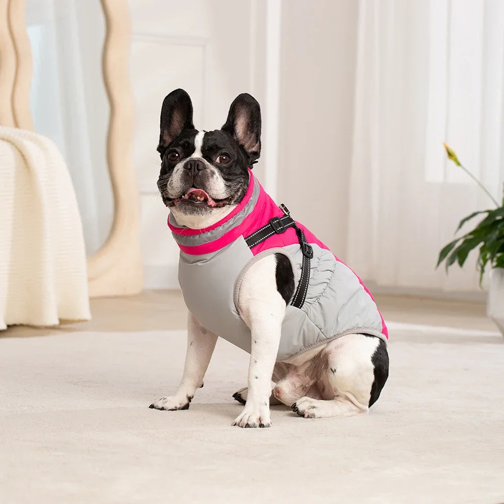 Waterproof Dog Jacket with Harness – Warm Winter Coat for Small to Large Dogs