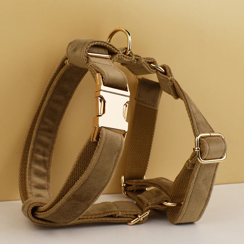Shallow Khaki Velvet Personalized Dog Collar, Leash & Harness Set