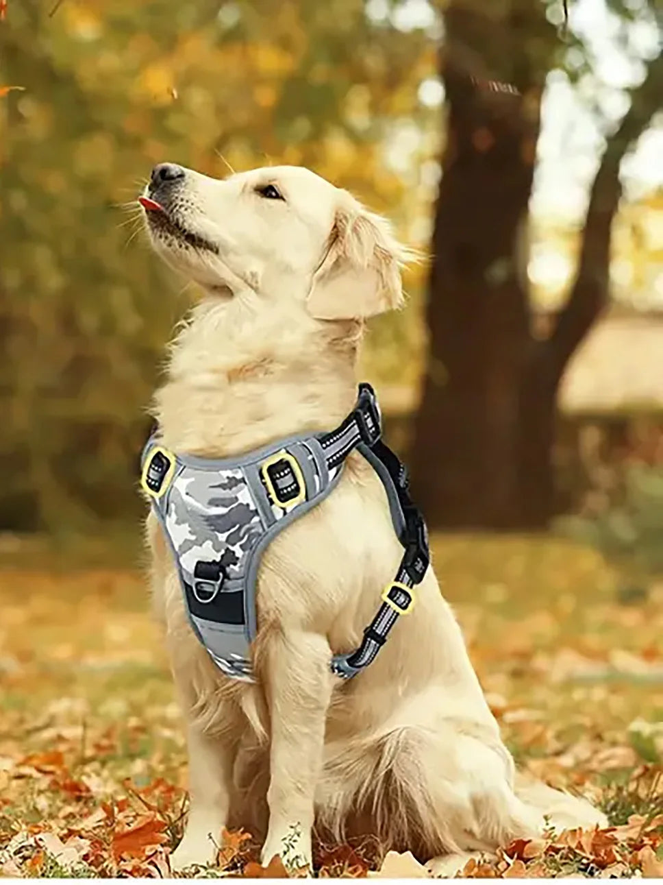 Reflective No-Pull Dog Harness – Easy Walking Training Harness with Handle