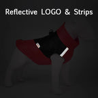 Waterproof Winter Dog Vest – Warm, Padded Coat for Small & Large Breeds