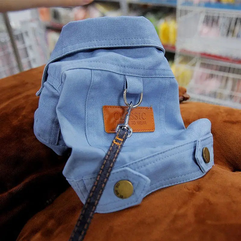 Denim Dog Jacket – Spring Outfit with D-Ring for Small & Medium Dogs