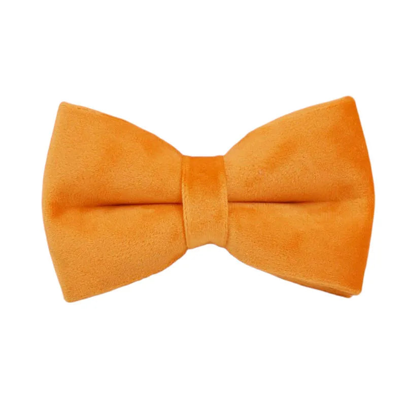 Orange Velvet Personalized Dog Collar, Leash & Harness Set