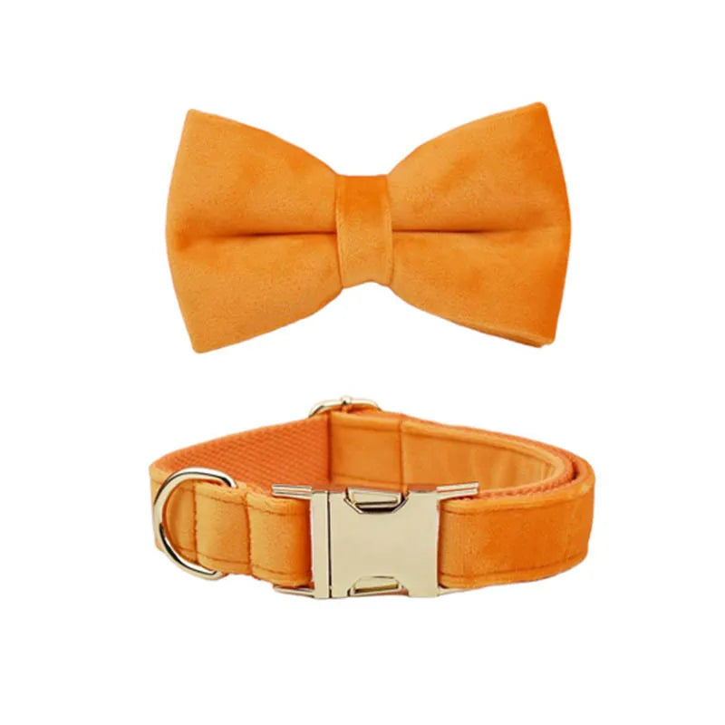 Orange Velvet Personalized Dog Collar, Leash & Harness Set