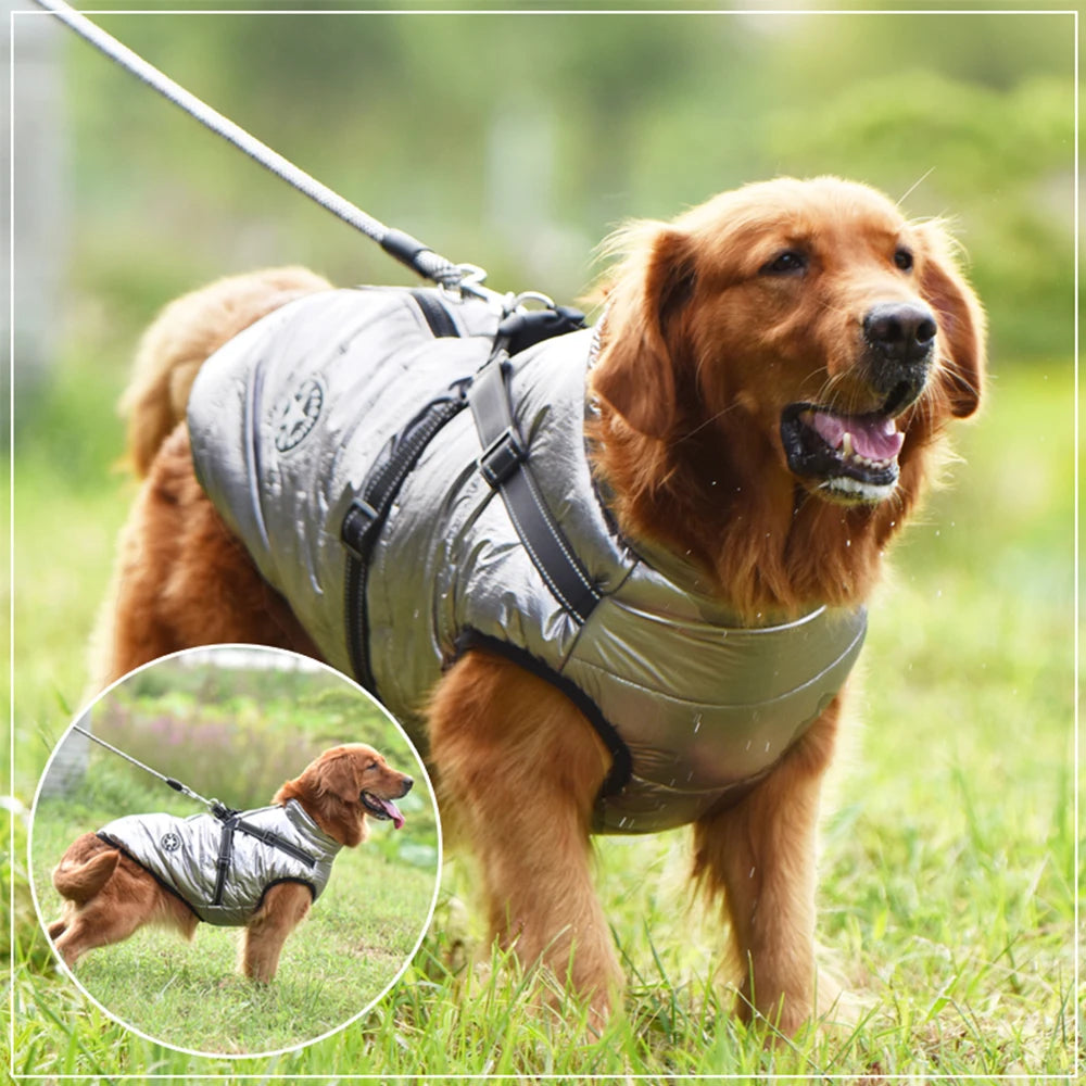 Waterproof Winter Dog Jacket with Built-in Harness – Warm Coat for Small & Large Breeds