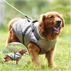 Waterproof Winter Dog Jacket with Built-in Harness – Warm Coat for Small & Large Breeds