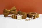 Light Coffee Color Velvet Personalized Dog Collar, Leash & Harness Set