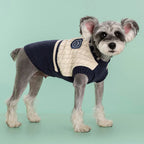 Warm Knitted Dog Sweater – College Style Pullover for Small & Medium Dogs