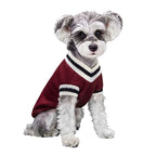 College Style Dog Sweater – Warm Winter Vest for Small & Medium Dogs