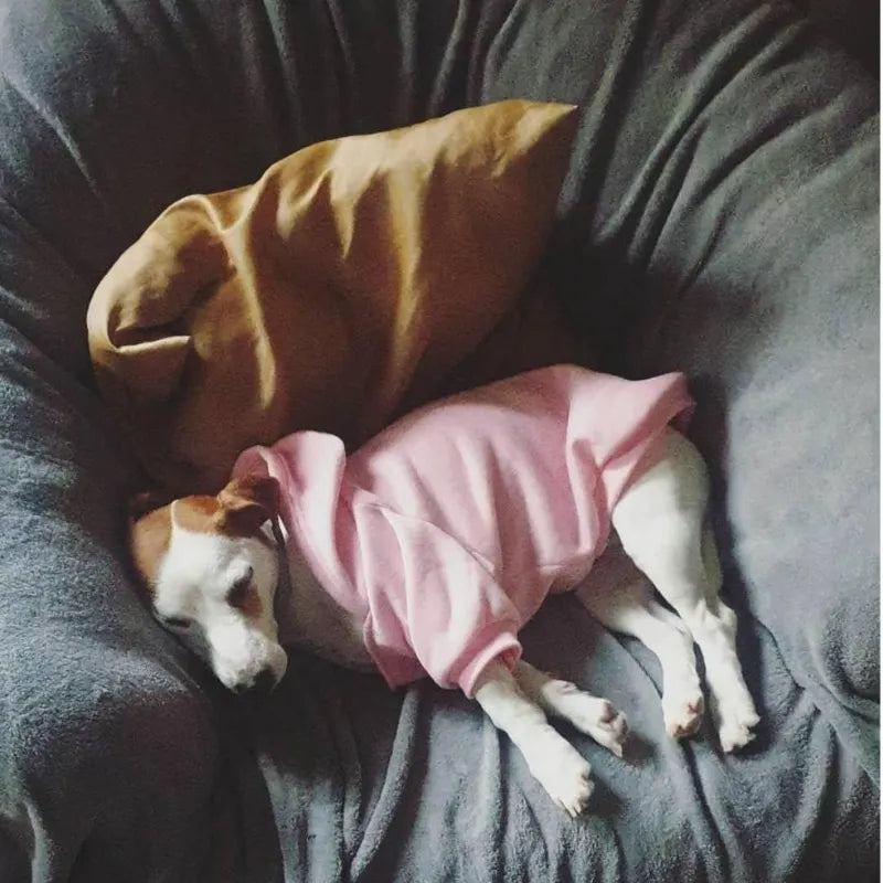 The Dog Face Hoodie – Warm Cotton Windproof Jacket for Small to Large Dogs