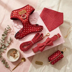 Designed Red Polka Dot Dog Vest Set