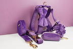 Purple Velvet Personalized Dog Collar, Leash & Harness Set