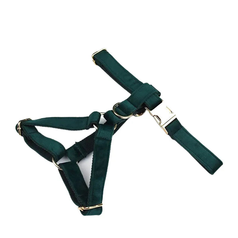 Green Velvet Personalized Dog Collar, Leash & Harness Set