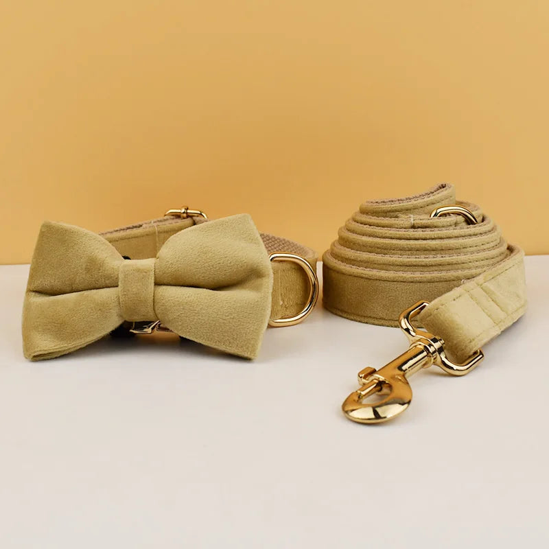 High Quality Dog Collar & Leash Set – Personalized Engraved Nameplate, Padded