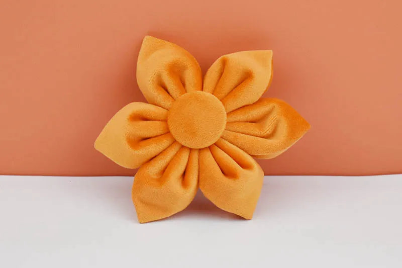 Orange Velvet Personalized Dog Collar, Leash & Harness Set