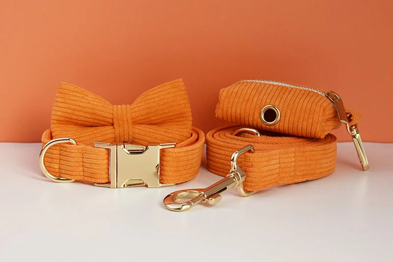 Orange Corduroy Personalized Dog Collar, Leash & Harness Set