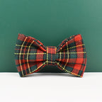 Personalized Dog Collar, Leash & Harness Set