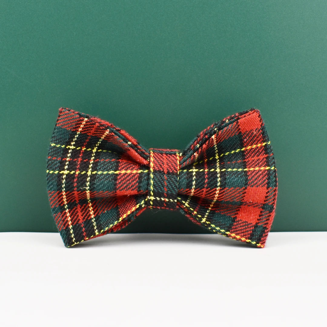 Personalized Dog Collar, Leash & Harness Set