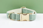 High Quality Light Green Corduroy Dog Collar, Harness & Leash Set – Personalized Engraved Nameplate, Padded