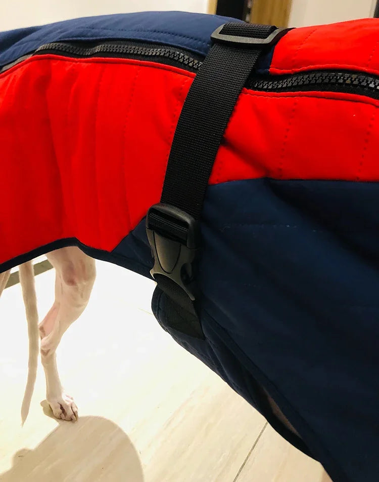 Waterproof Thick Cotton Dog Jacket – Super Warm Winter Coat for All Breeds