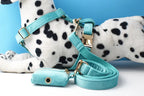 Turquoise Stone Velvet Personalized Dog Collar, Leash & Harness Set