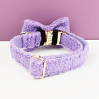 Teddy Velvet Personalized Dog Collar, Leash & Harness Set