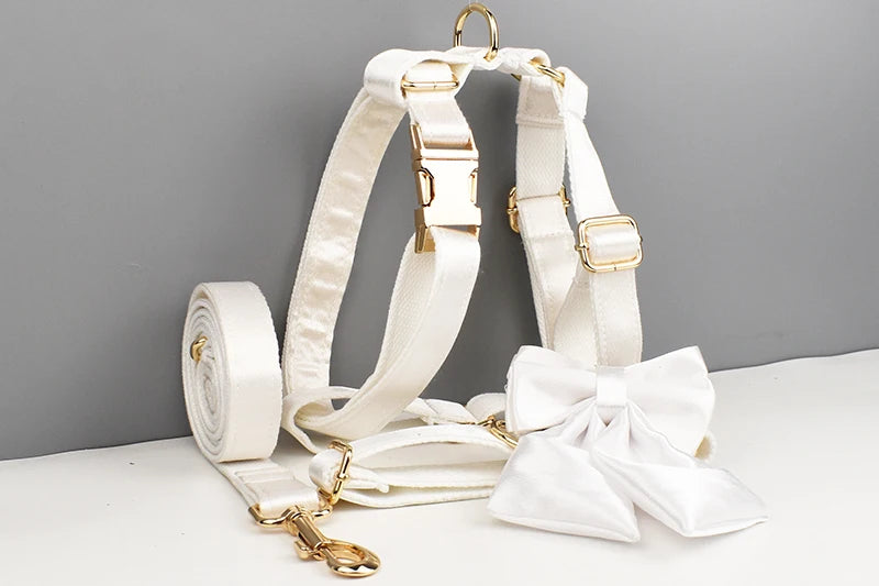 White Personalized Dog Collar, Leash & Harness Set