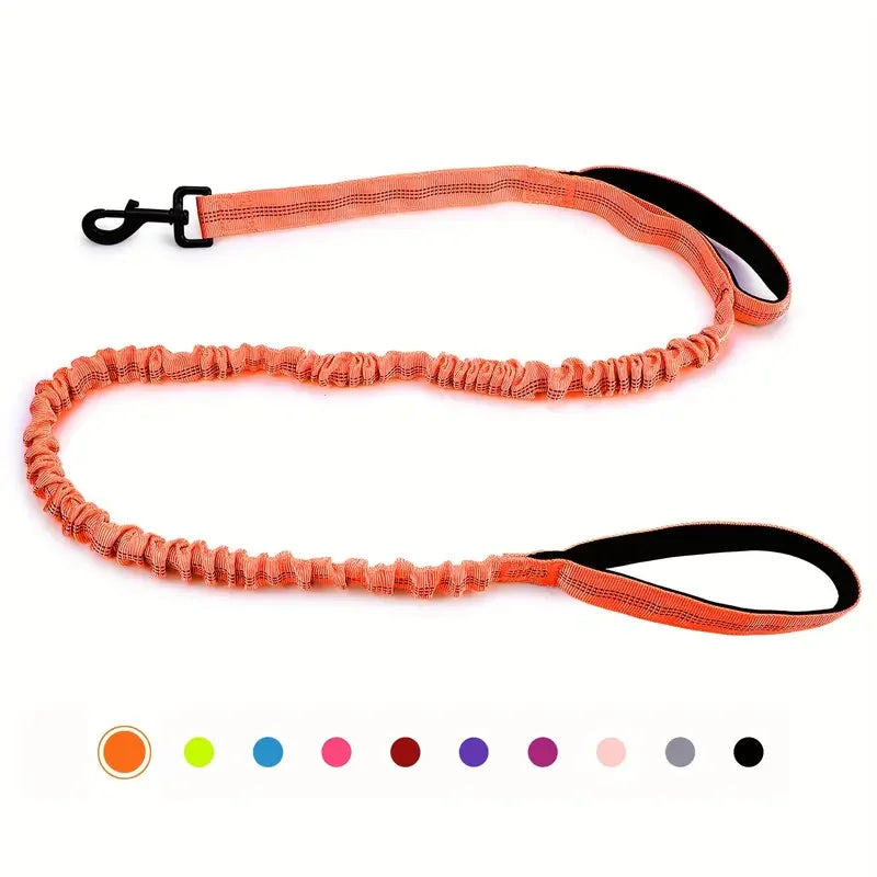 Heavy-Duty Bungee Dog Leash – 5ft Shock-Absorbing Lead with Dual Handles
