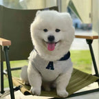 Winter Warm Dog Hoodie – Soft Polyester Pullover for Small & Medium Dogs