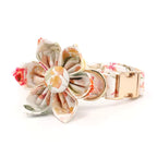 Vintage Bloom Floral Dog Collar and Leash Set