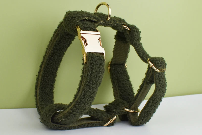 Personalized Dog Collar, Leash & Harness Set