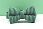 Dark Green Corduroy Personalized Dog Collar, Leash & Harness Set