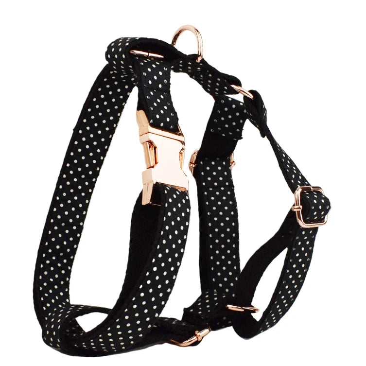 Personalized Dog Collar, Leash & Harness Set