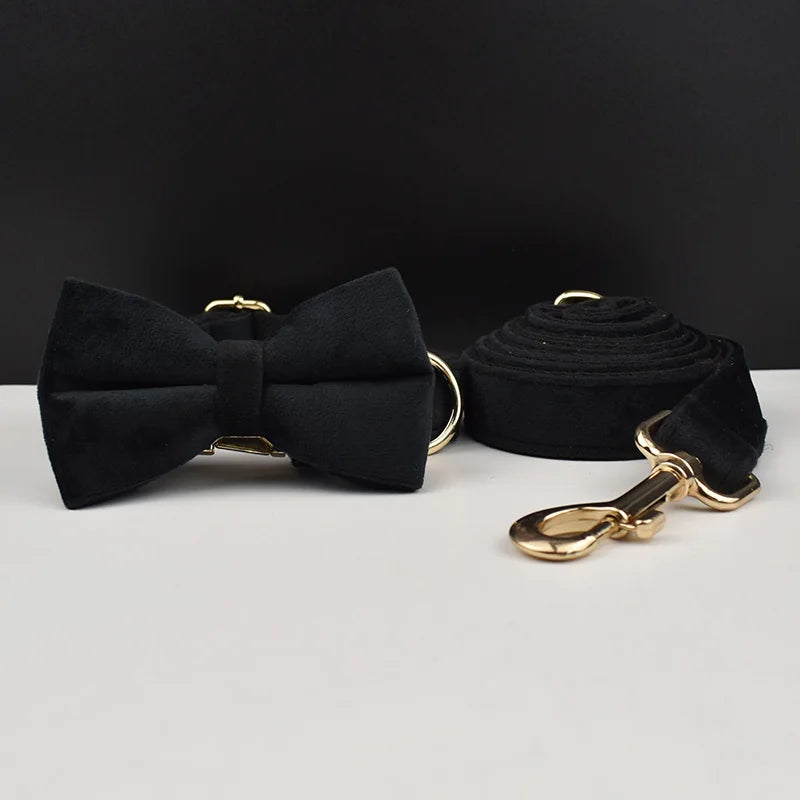 High Quality Dog Collar & Leash Set – Personalized Engraved Nameplate, Padded