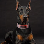 Genuine Leather Dog Collar – 2-Inch Wide Luxury Spike & Diamond Design for Medium & Large Dogs