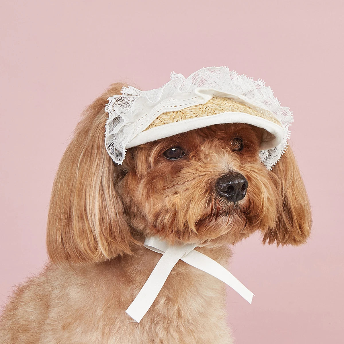 Summer Pet Sun Hat – Adjustable Lace Bow Cap for Dogs & Cats